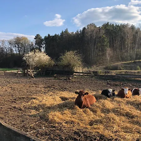 Joyosada - Ferienhaeuser In Seenlandschaft Prusim